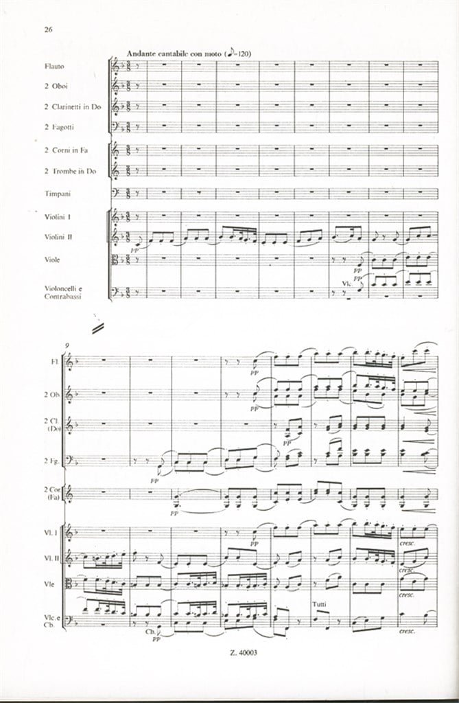 Sinfonie Nr. 1 C-Dur