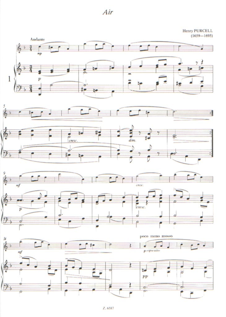 Flötenmusik für Anfänger I