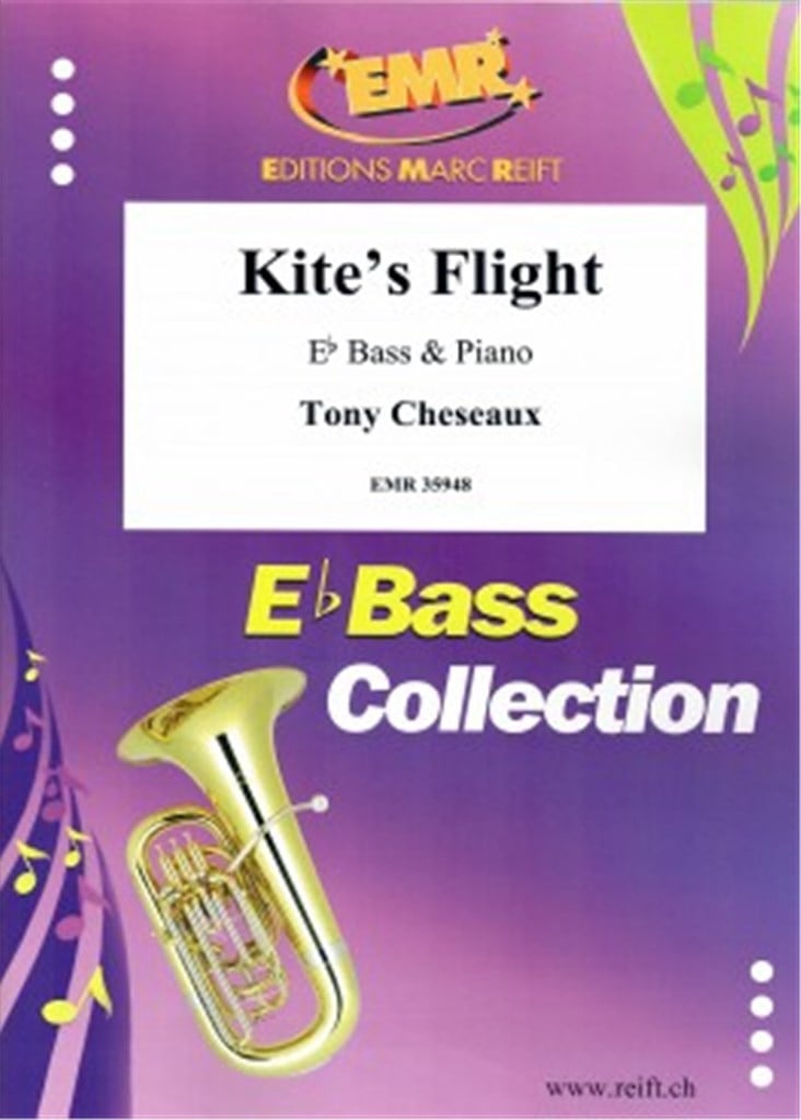 Kite's Flight