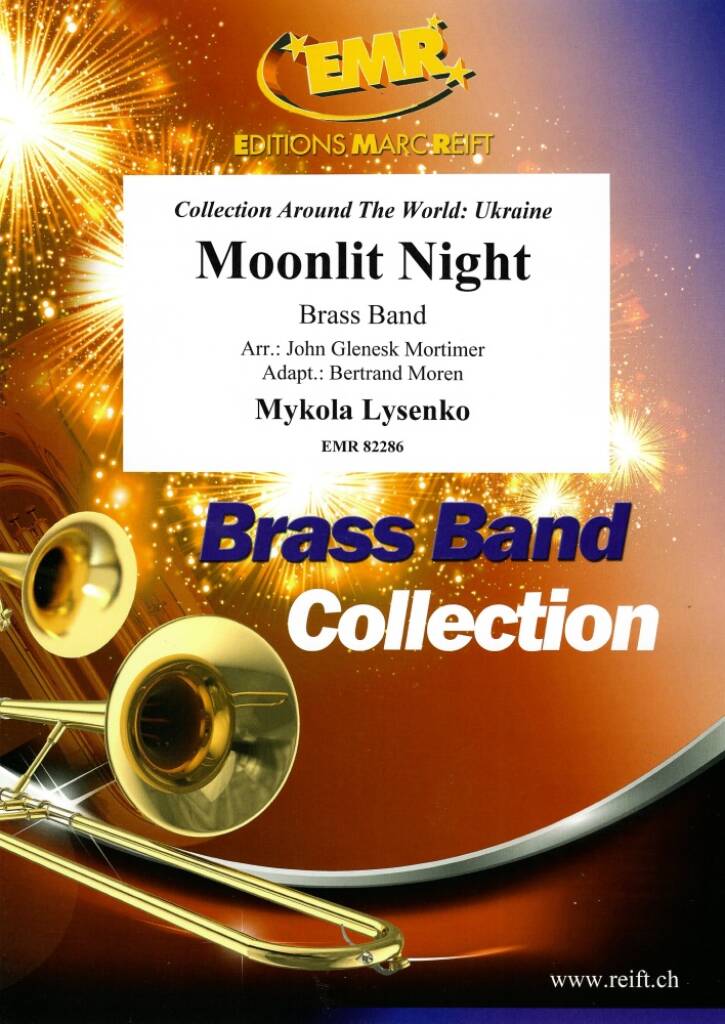 Moonlit Night