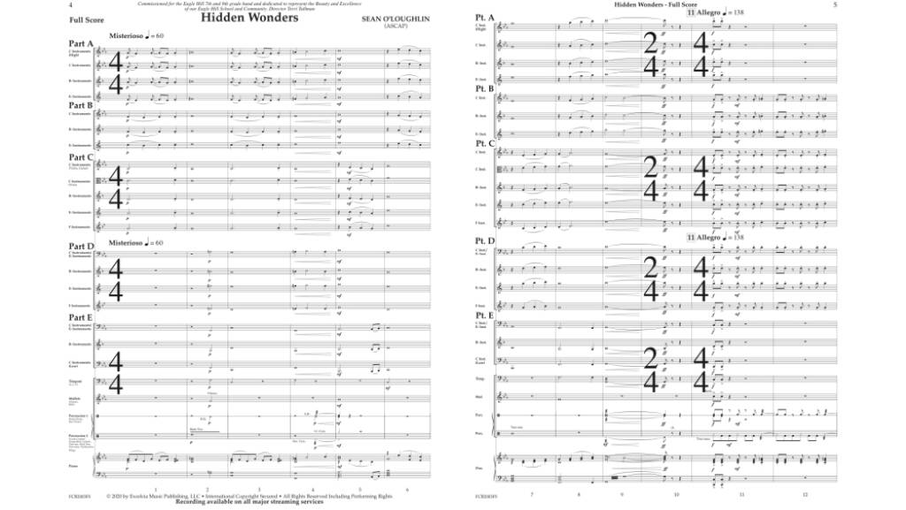 Hidden Wonders