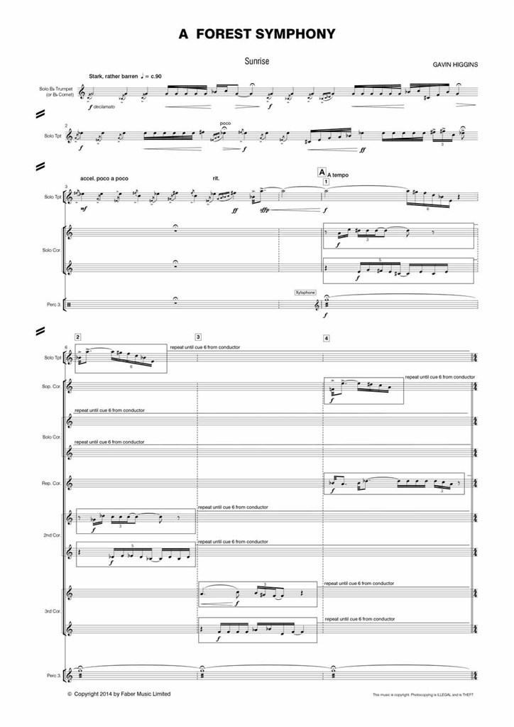 A Forest Symphony