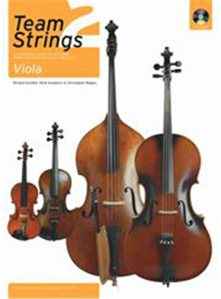 Team Strings 2. Viola