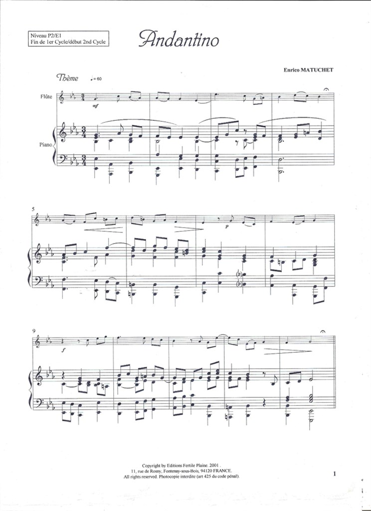 Andantino et Variations, Allegro