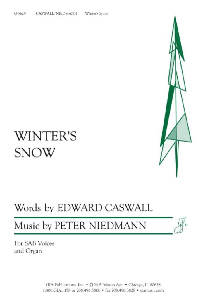 Winter's Snow