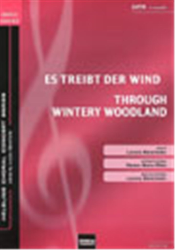 Es treibt der Wind/Through wintery woodland