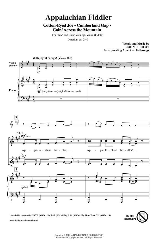 Appalachian Fiddler