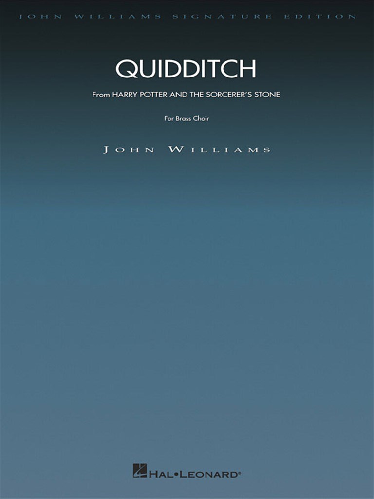 Quidditch (HARRY POTTER AND THE SORCERER'S STONE)