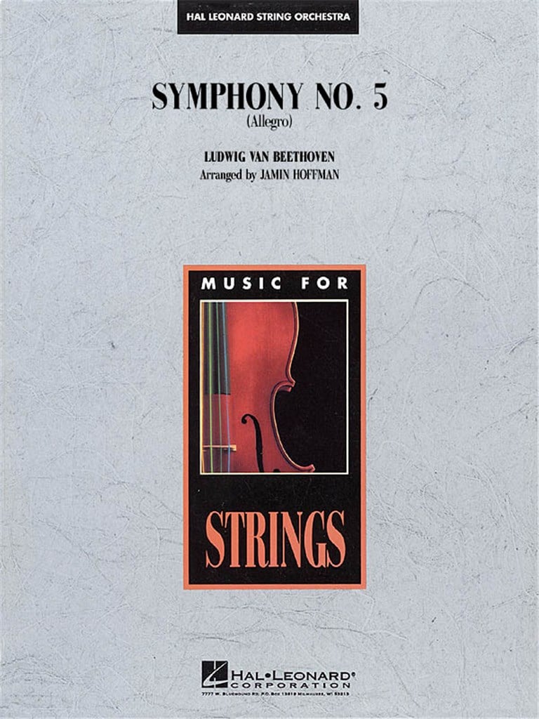 Symphony No.5 ( Allegro )
