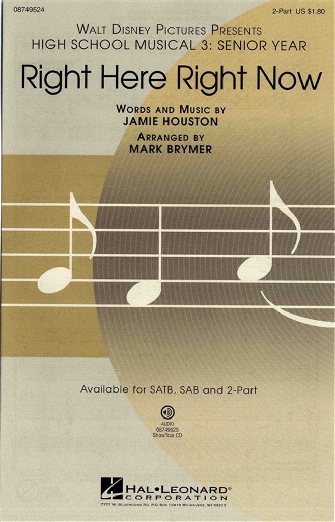 Right here Right now (from High School Mus.3)