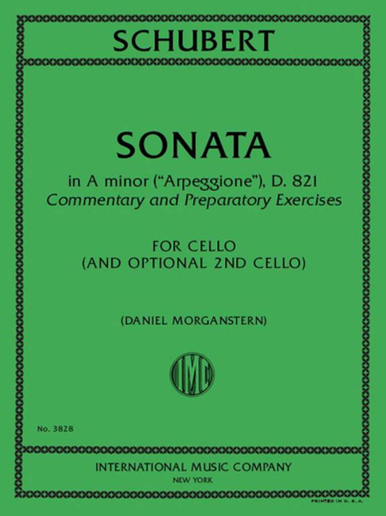 Sonata In A Minor D 821