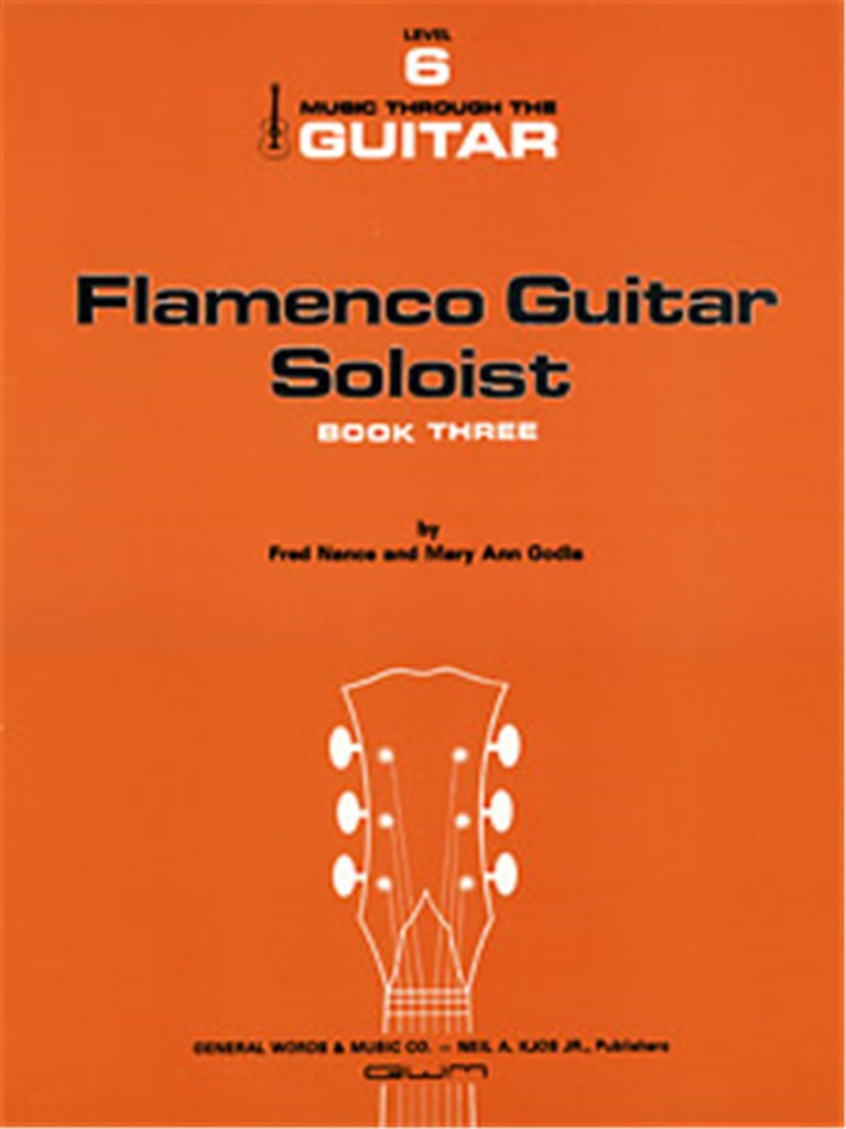 Flamenco Guitar Soloist 3