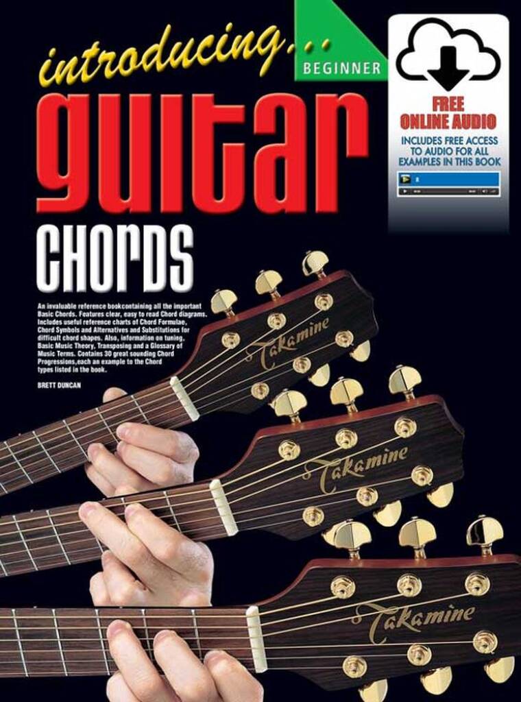 Introducing Guitar Chords