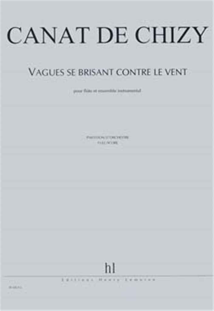 Vagues Se Brisant Contre Le Vent