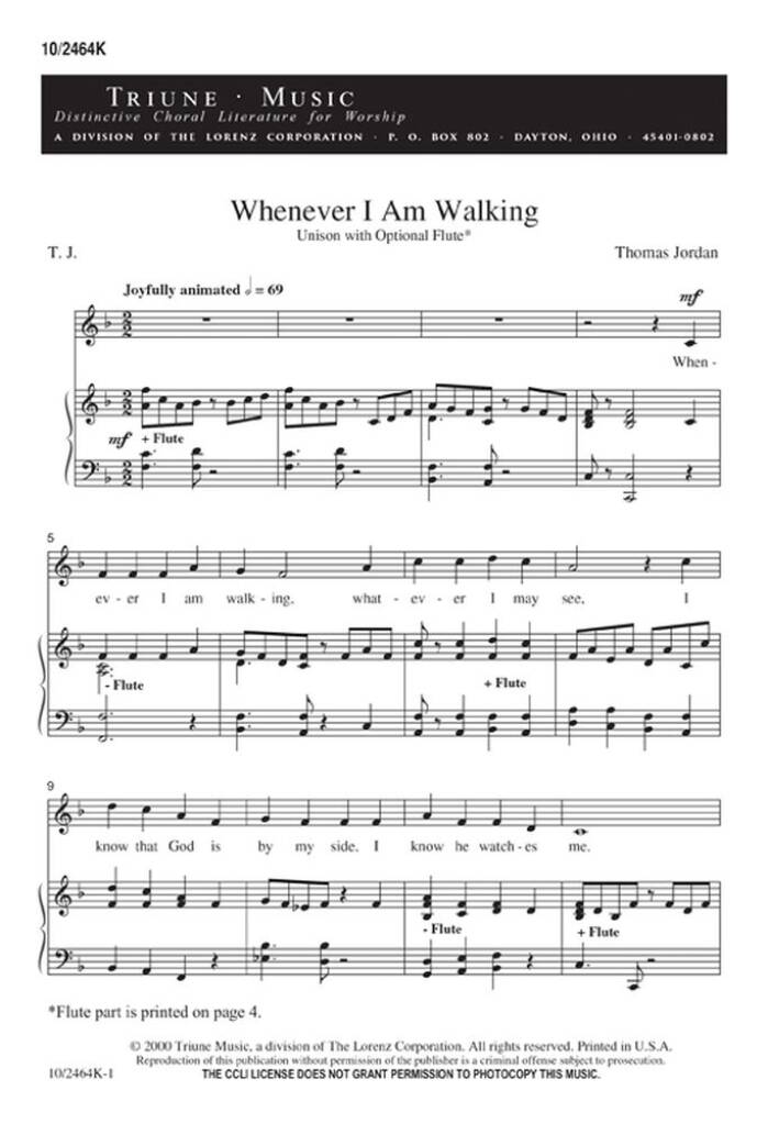 Whenever I Am Walking