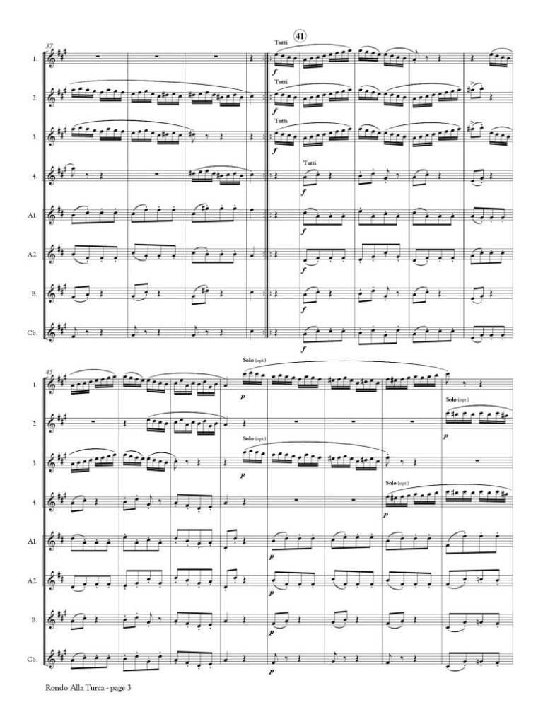 Rondo Alla Turca for Flute Orchestra
