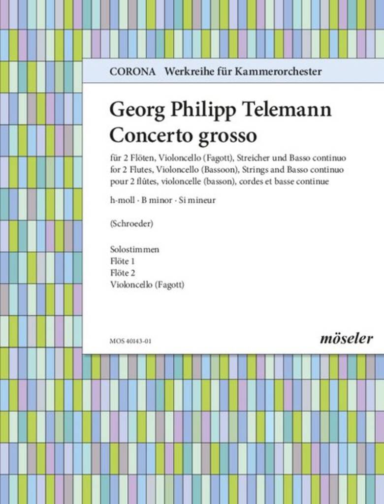 Concerto h-Moll TWV 53:h1