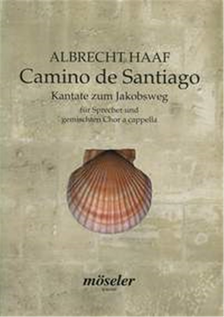 Camino de Santiago
