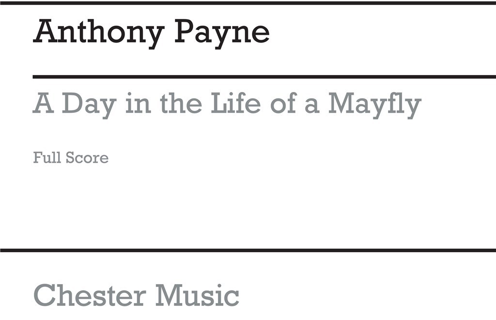 A Day In The Life Of A Mayfly