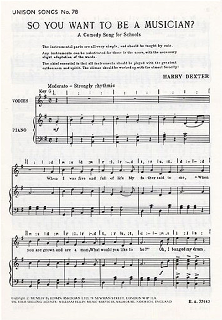 So You Want To Be A Musician?