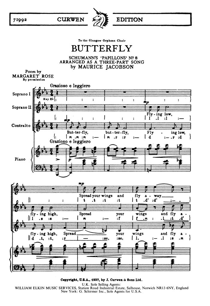 Butterfly