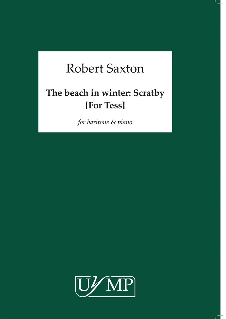 The Beach in Winter