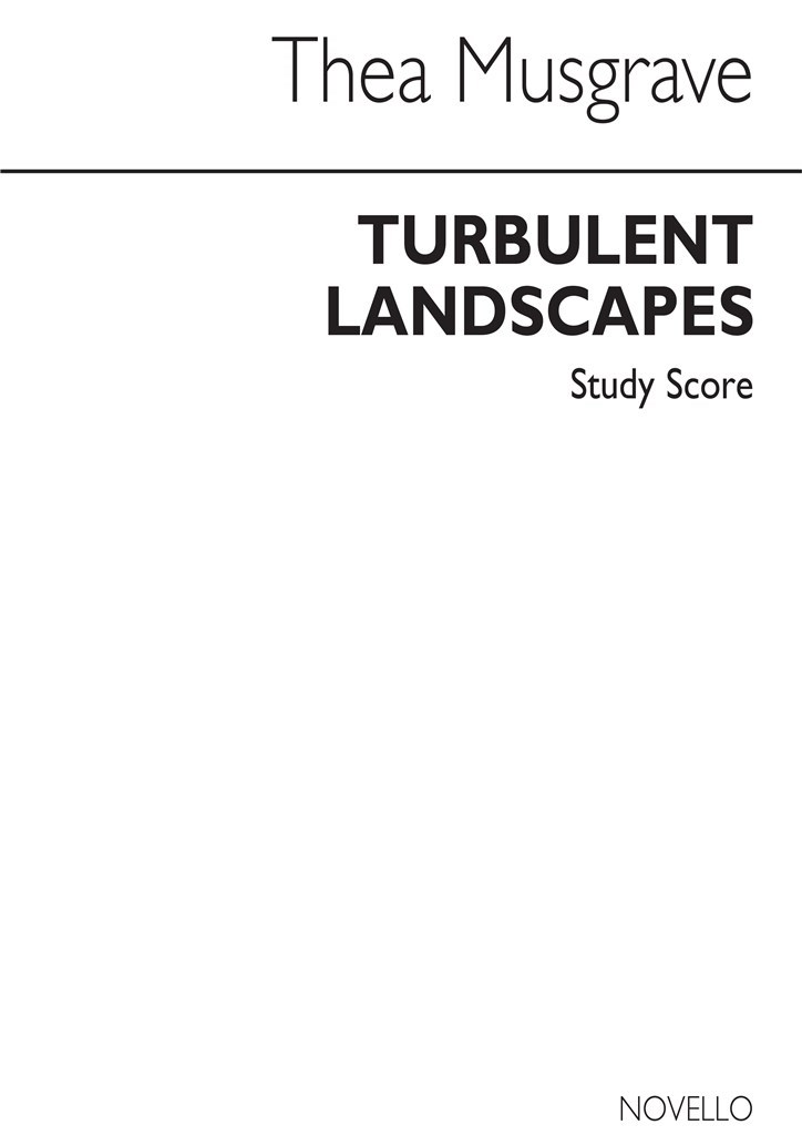 Turbulent Landscapes