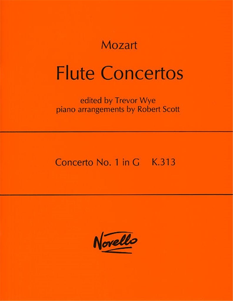 Concerto No.1 In G K.313