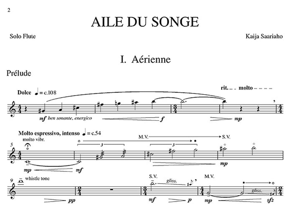 Aile Du Songe