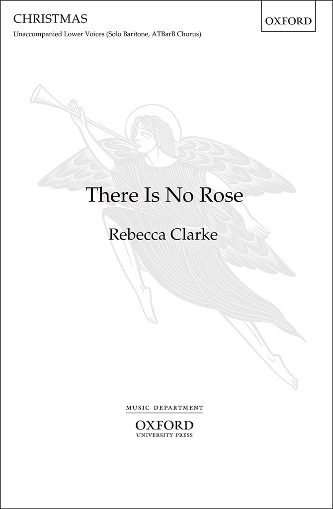 There is no rose (Paperback)