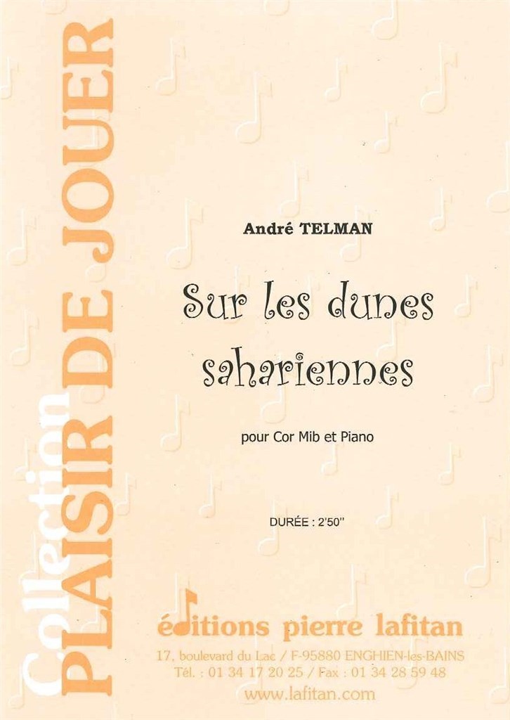 Sur Les Dunes Sahariennes
