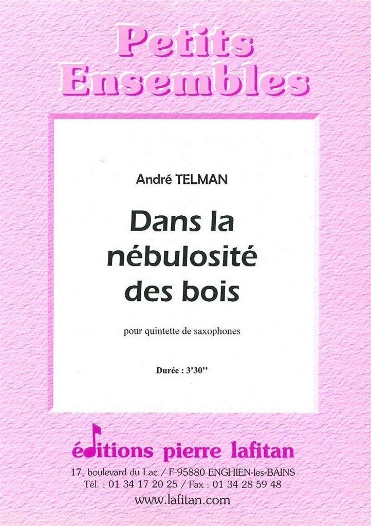 Dans la Nébulosité Des Bois