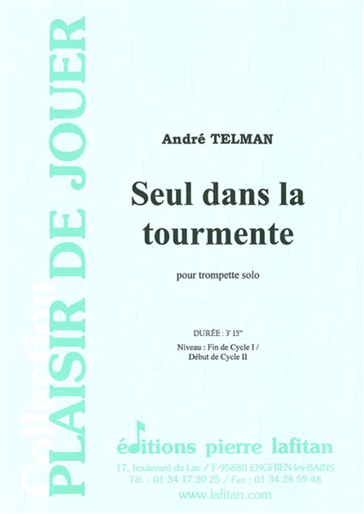 Seul Dans la Tourmente