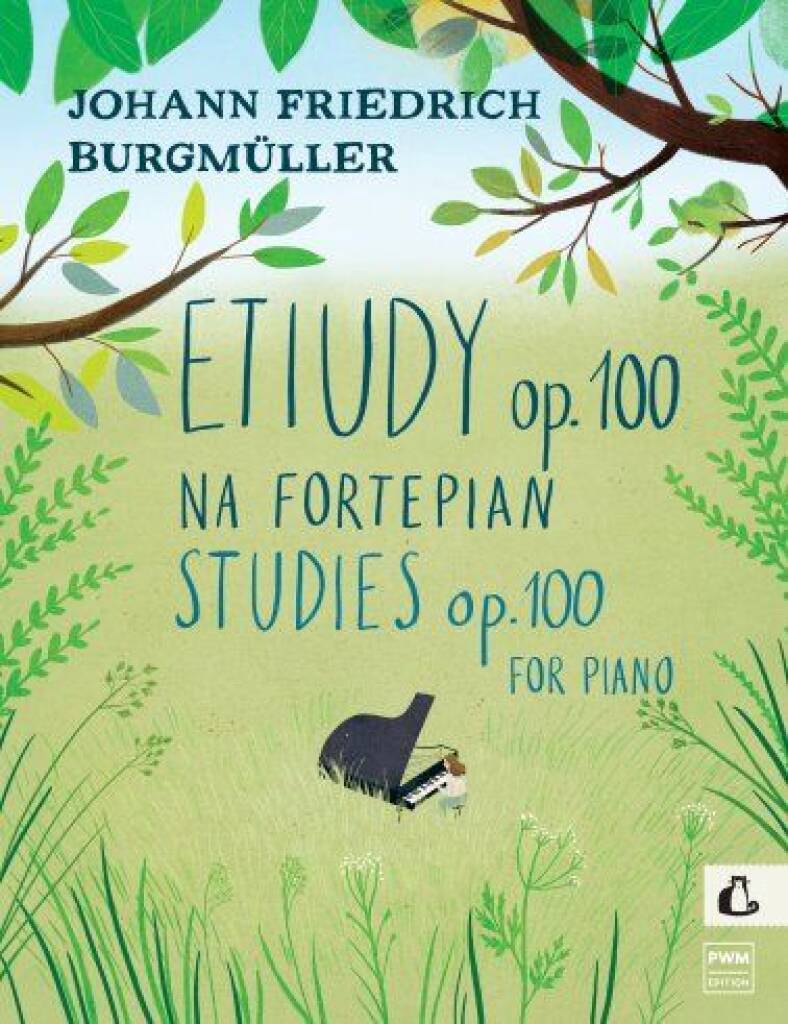 Studies Op. 100 For Piano
