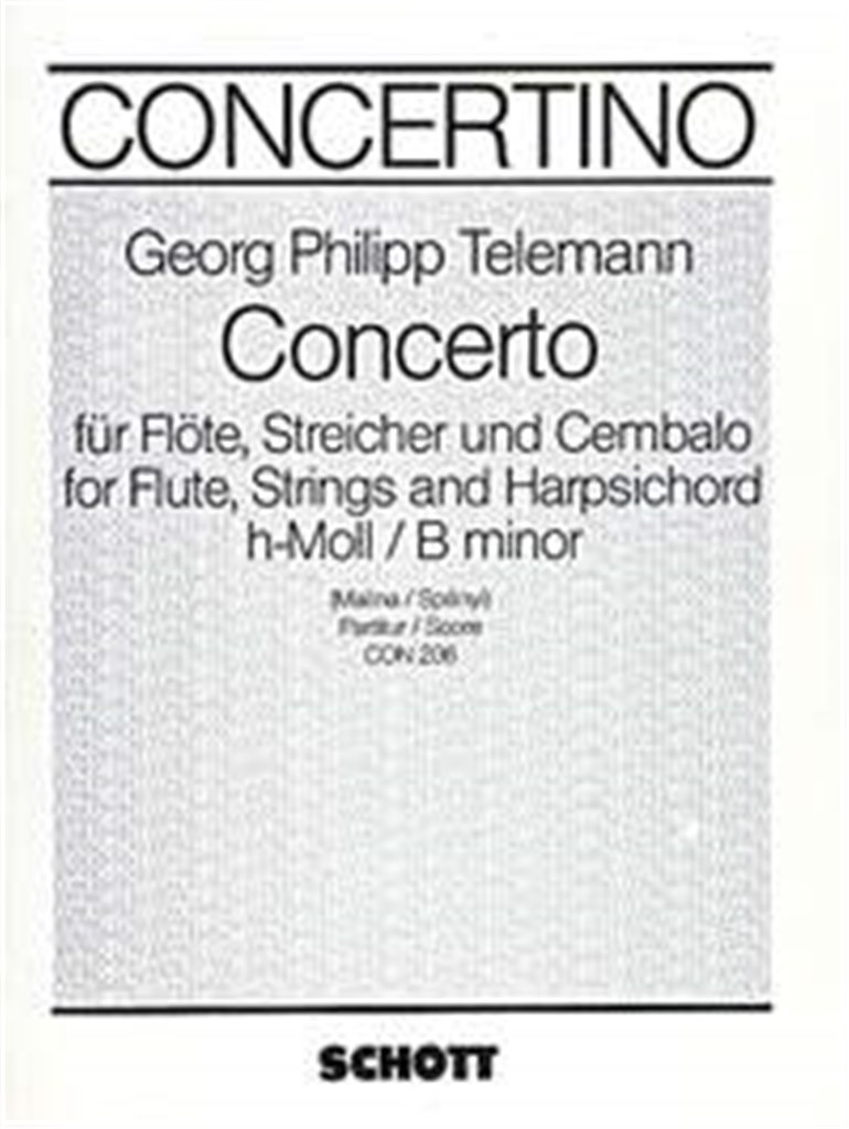 Concerto B minor