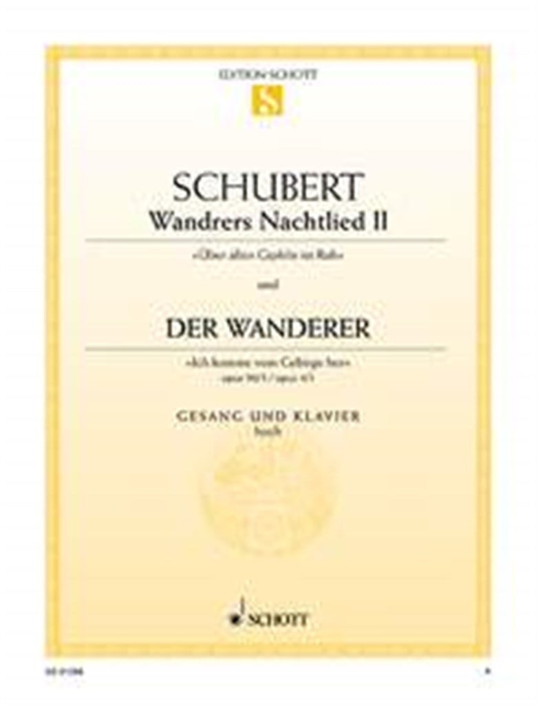 Wandrers Nachtlied II-Der Wanderer