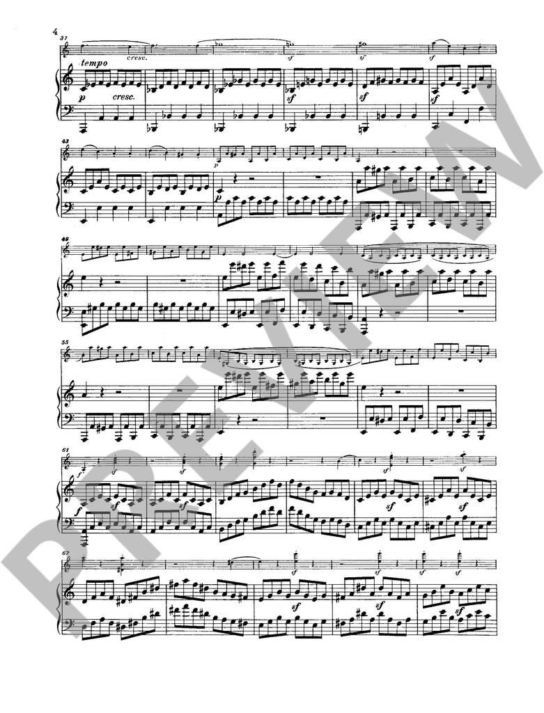 Sonate Op.47 (Kreutzer)