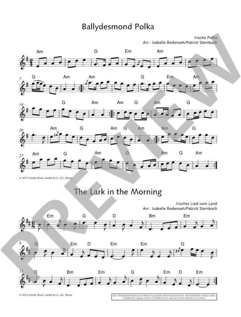 The Irish Flute Book