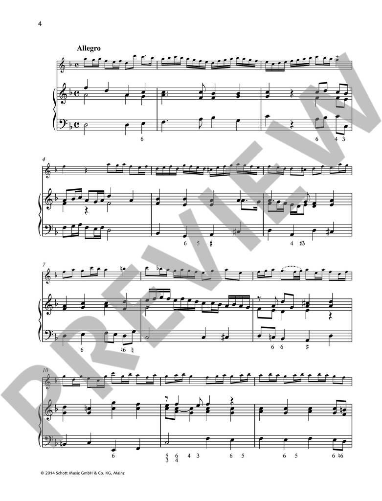 Schott Recorder Library