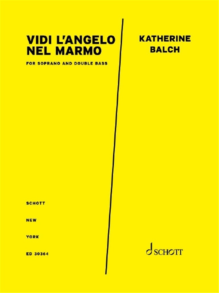 Vidi l?Angelo nel marmo