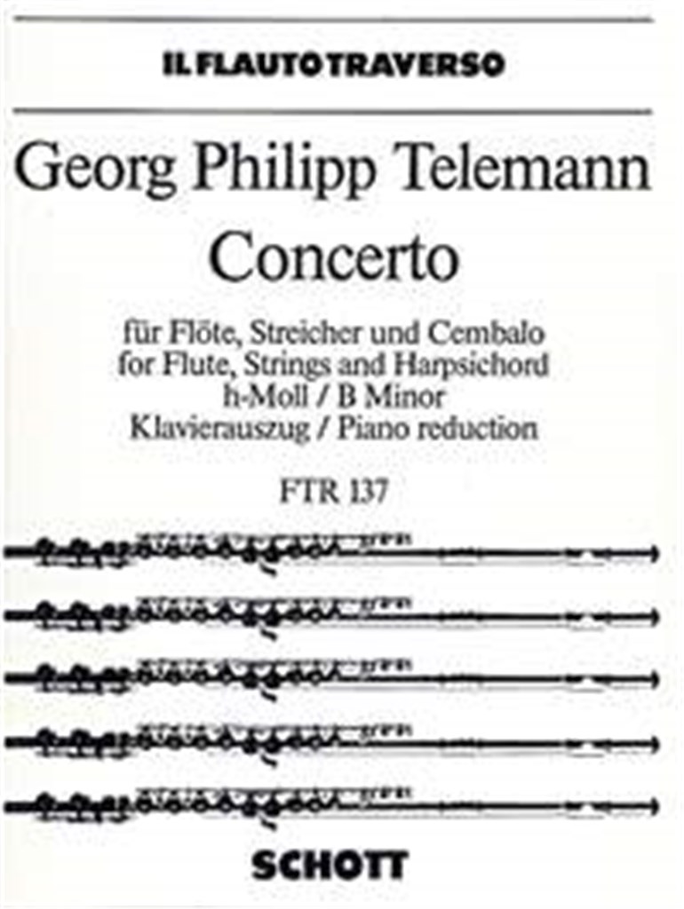 Concerto B minor