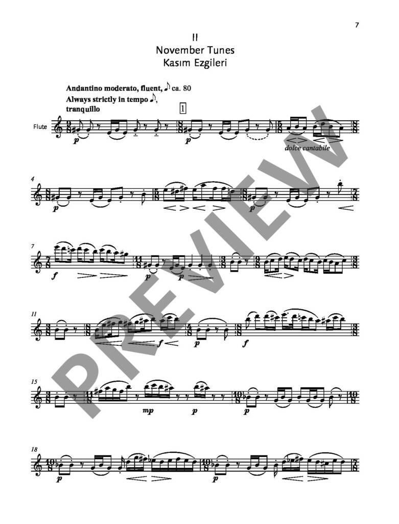 Flute World op. 84