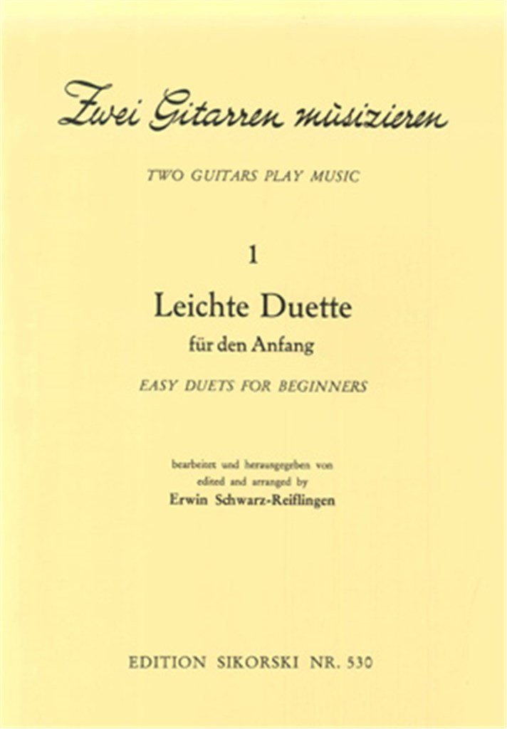 2 Gitarren musizieren
