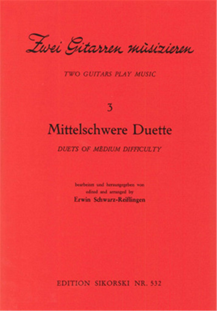 2 Gitarren musizieren