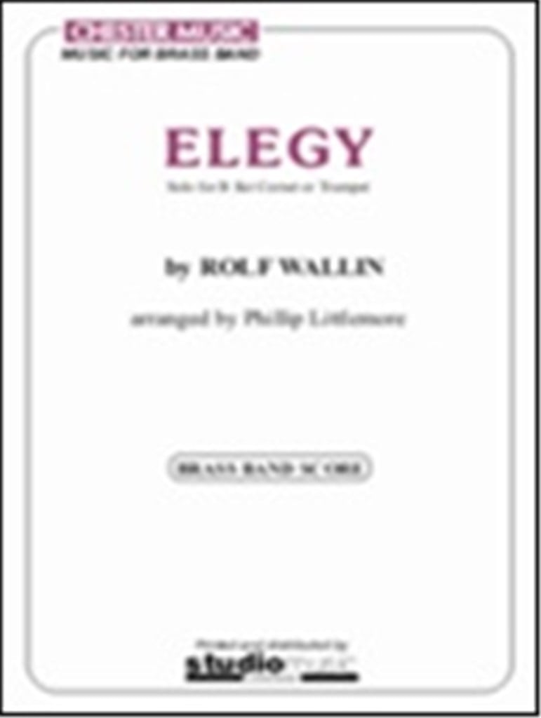 Elegy