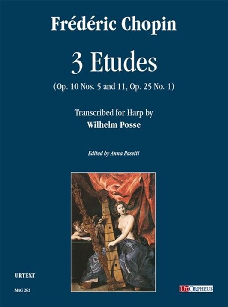 3 Studi