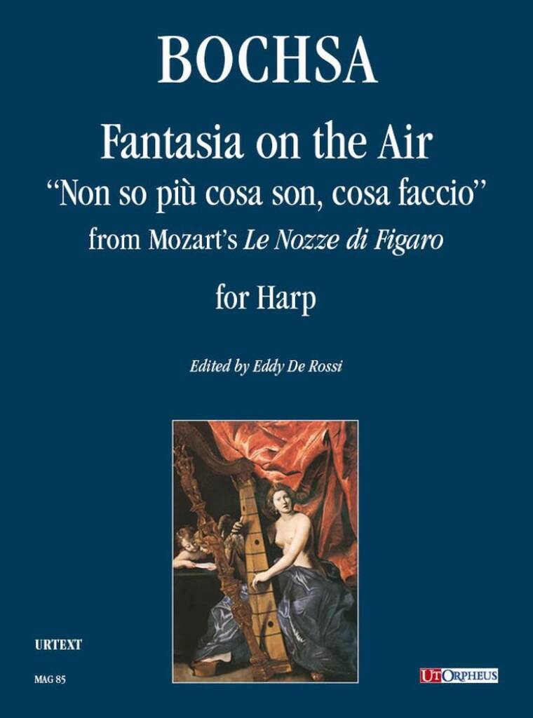 Fantasia sull?aria Non so più cosa son cosa faccio