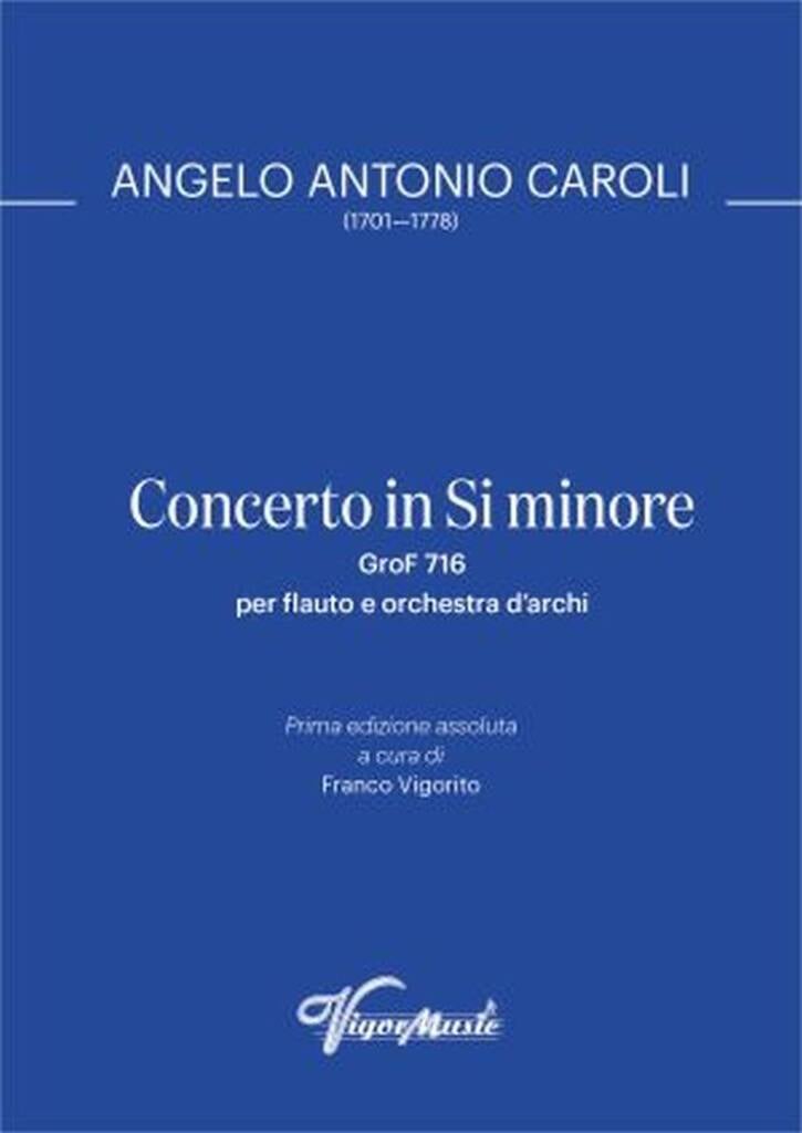 Concertino in Si Minore GroF 716