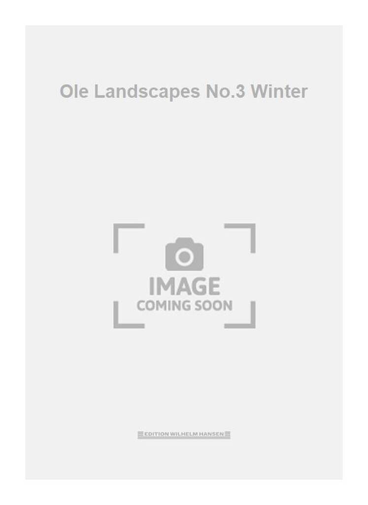 Ole Landscapes No.3 Winter