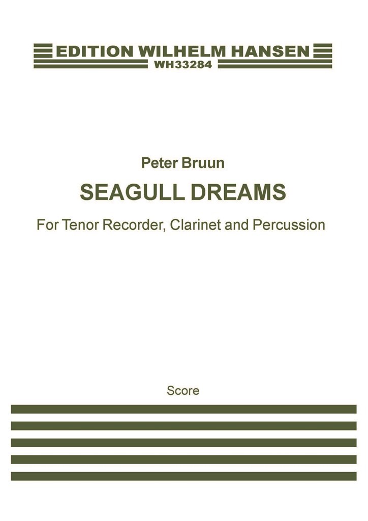 Seagull Dreams